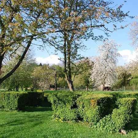 Aux Fleurs De Cerises Bed & Breakfast Le Plessis-Luzarches